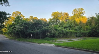 302 E Church St, Williamston, NC 27892
