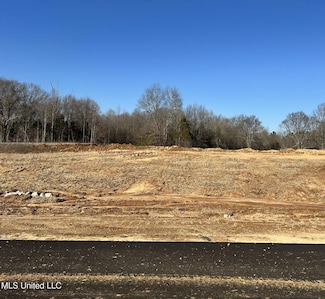 16 Pebble View Dr, Byhalia, MS 38611