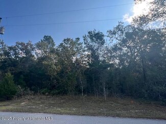 3328 Horseshoe Ln, Spring Hill, FL 34606