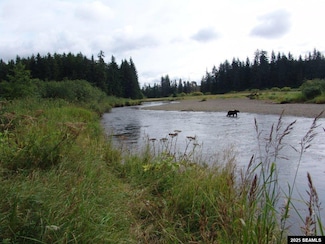0 Legal Address Only Unit 6 mile at  Game Cree, Hoonah, AK 99829