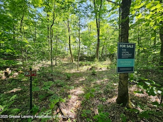 21 Wildwood Ln, Moran Township, MI 49760