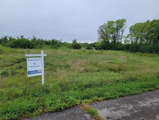11 Eagles Watch Ct, Silex, MO 63377