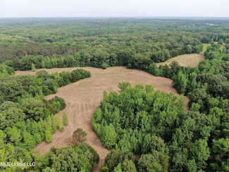 656 Sunset Dr, Coldwater, MS 38618