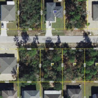 406 Mulberry Ct, Kissimmee, FL 34759