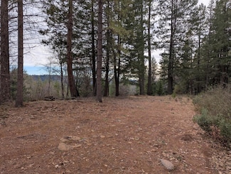 3000 Moody Ridge Rd, Gold Run, CA 95717