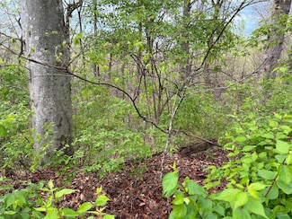 Tbd Missionary Ridge Rd, Newport, TN 37821