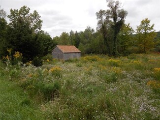 7441 Webster Crossing Rd, Springwater, NY 14560
