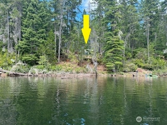 1031 NE Collins Lake Dr, Tahuya, WA 98588