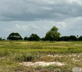 2517 Haverford Blvd, Harlingen, TX 78552