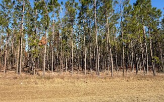 TBD County Road 251, Mayo, FL 32066
