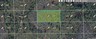 0 Dill Rd Unit MFRO6234187, Orlando, FL 32820