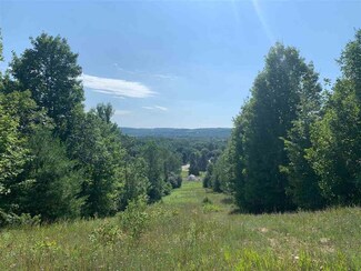 03835 Hitchcock Rd, South Arm Township, MI 49727