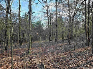 360B Banister Rd, Greenbrier, AR 72058