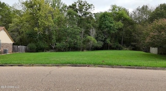 0 Parker Dr Unit 4091382, Clinton, MS 39056