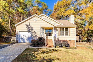 213 Firebridge Ct, Chapin, SC 29036