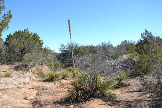 1345 Ranch Road 3480, London, TX 76854