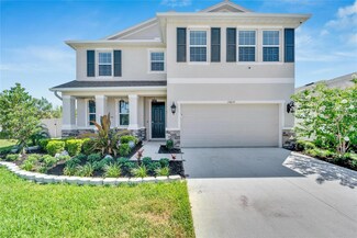 16610 Mooner Plank Cir, Wimauma, FL 33598