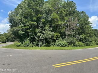 Near 102 Warrior Trail, Whiteville, NC 28472