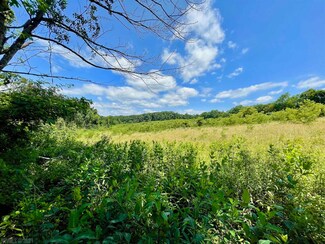 tbd Tuggles Gap Rd SW, Floyd, VA 24091