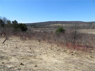 0 Route 242 Rd Unit B1094519, MacHias, NY 14101