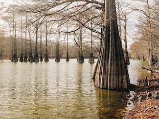 0 Bridges Ave Unit 11609195, Glendora, MS 38928