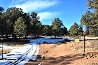 1187 13th Trail, Cotopaxi, CO 81223