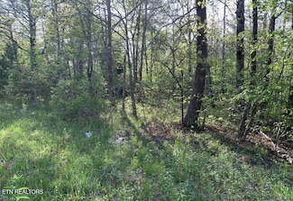 1035 Redwing Dr, Crossville, TN 38572