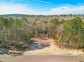 7929 Maple Ln, Tyler, TX 75703