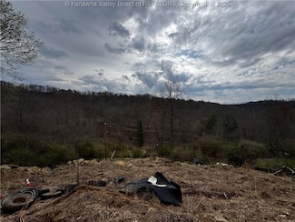 234 Colt Run Rd, Spencer, WV 25276