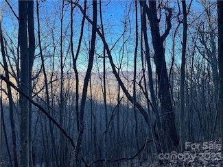 00 Utah Mountain Rd Unit 3, Waynesville, NC 28785