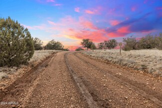 5579 W Forest Service Rd Unit 1, Ash Fork, AZ 86320