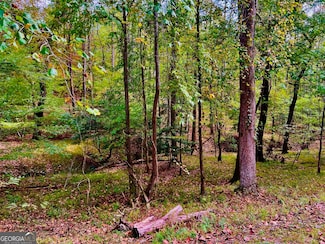 574 Satsuma Ct, Ellijay, GA 30540