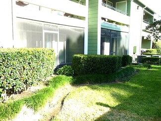 14777 Wunderlich Dr Unit 509, Houston, TX 77069