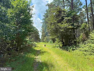 0 N Liberty Spring Rd (Tract: Ches Block 4-61-119), Suffolk, VA 23432