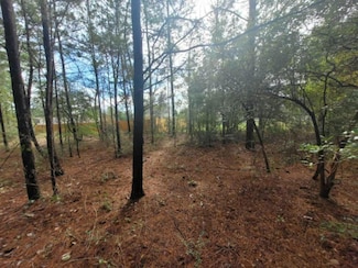6 E Violet Ln, Defuniak Springs, FL 32433