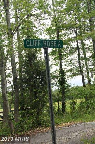 10545 Cliff Rose Place, Newburg, MD 20664