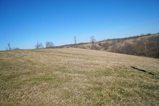 Tract #8 Stone Ln, Sadieville, KY 40370