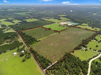 7009 N 129 Hwy, Bell, FL 32619
