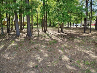 823 Bentwood Cir, Manning, SC 29102