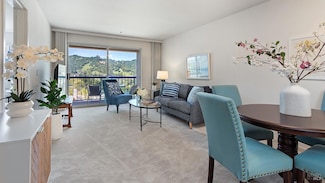 100 Thorndale Dr Unit 222, San Rafael, CA 94903