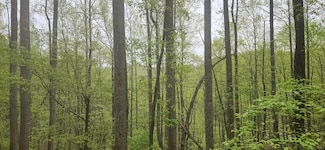 0 Dots Dr Unit 23314307, Albemarle, VA 22903