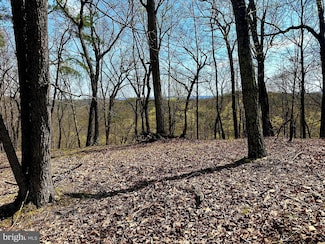 148 acs Parrill Hollow Rd, Burlington, WV 26710