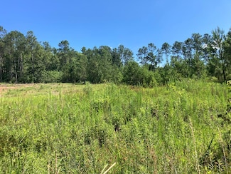2360 Presidio Dr, Dalzell, SC 29040