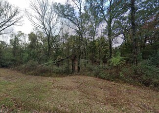 0 County Road 2616, Pittsburg, TX 75686