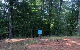 30 Parks Mountain Rd, Ellijay, GA 30540
