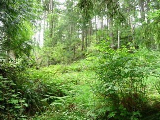 2855 Aiston Creek Rd, Lummi Island, WA 98262