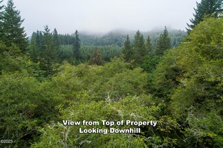TL 1200 Crystal Creek Loop, Toledo, OR 97391