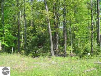 Lot 29 Hidden Dunes Ln Unit 29, Kewadin, MI 49648
