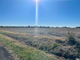 13781 Gilmore Rd, Auburn, IL 62615