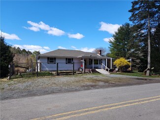 117 Cedar Hollow Rd, Saylorsburg, PA 18353